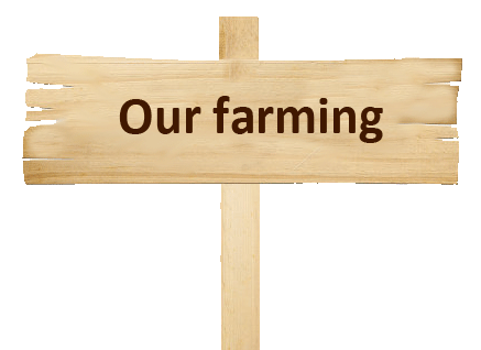 Our farming